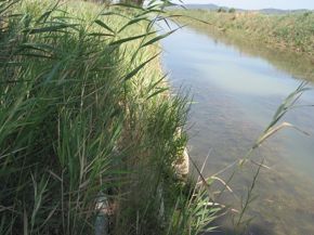 parco-dell-uccellina-1