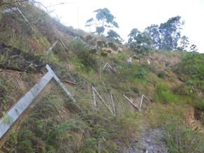 km-278-900-fot-06-custom