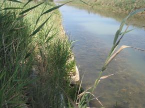 parco-dell-uccellina-2