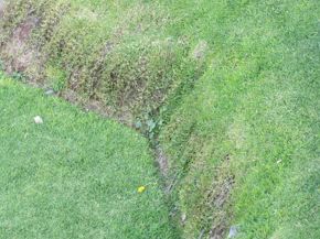 ERDOX Junior Lima Peru