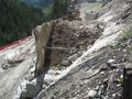 img-8297