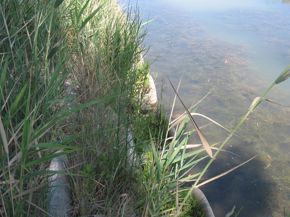 parco-dell-uccellina-4