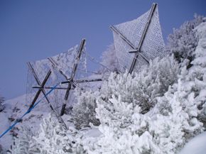 sperimentazione-austria