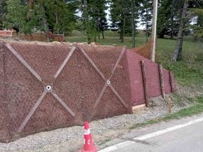 ERDOX Junior Austria