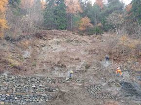 ERDOX JUNIOR TERRA FRONT