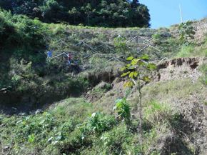 km-278-900-fot-04-custom