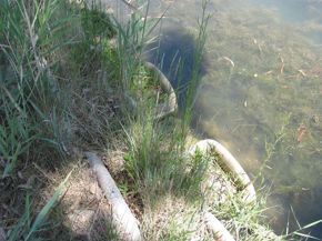 parco-dell-uccellina-gr