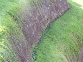 ERDOX Junior Lima Peru