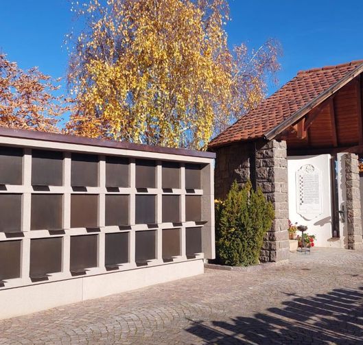 photo-2025-11-11-20-08-00