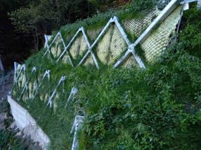 ERDOX JUNIOR TERRA FRONT