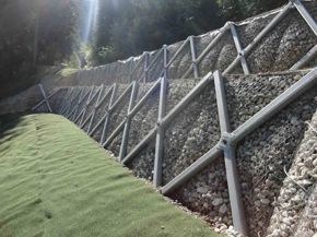 ERDOX JUNIOR TERRA FRONT