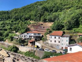 erdox-junior-austria-1b