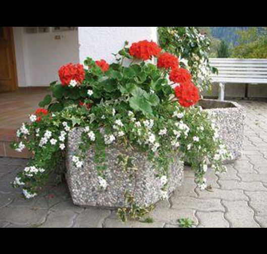 csm-blumentroege-002-5426e66883