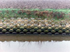 canale-con-idrovore-fiume-po-dolo-6-easy-resize-com