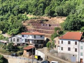 erdox-junior-austria-1c