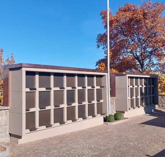 photo-2025-11-11-20-08-00-4