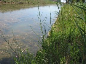 parco-dell-uccellina-3