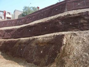 ERDOX Junior Lima Peru